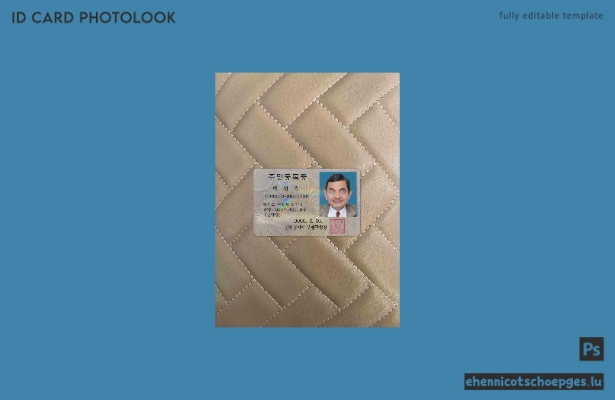 Korea ID-Foto-Beispielvorschau